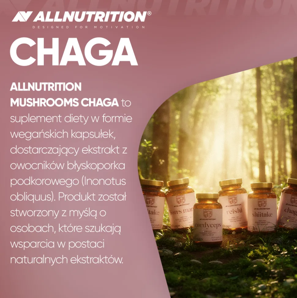 Allnutrition Mushrooms Chaga, kapsułki, 60 szt.
