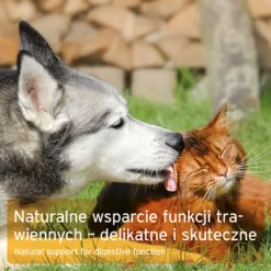 AniForte Kora wiązu dla psów i kotów, proszek, 100 g