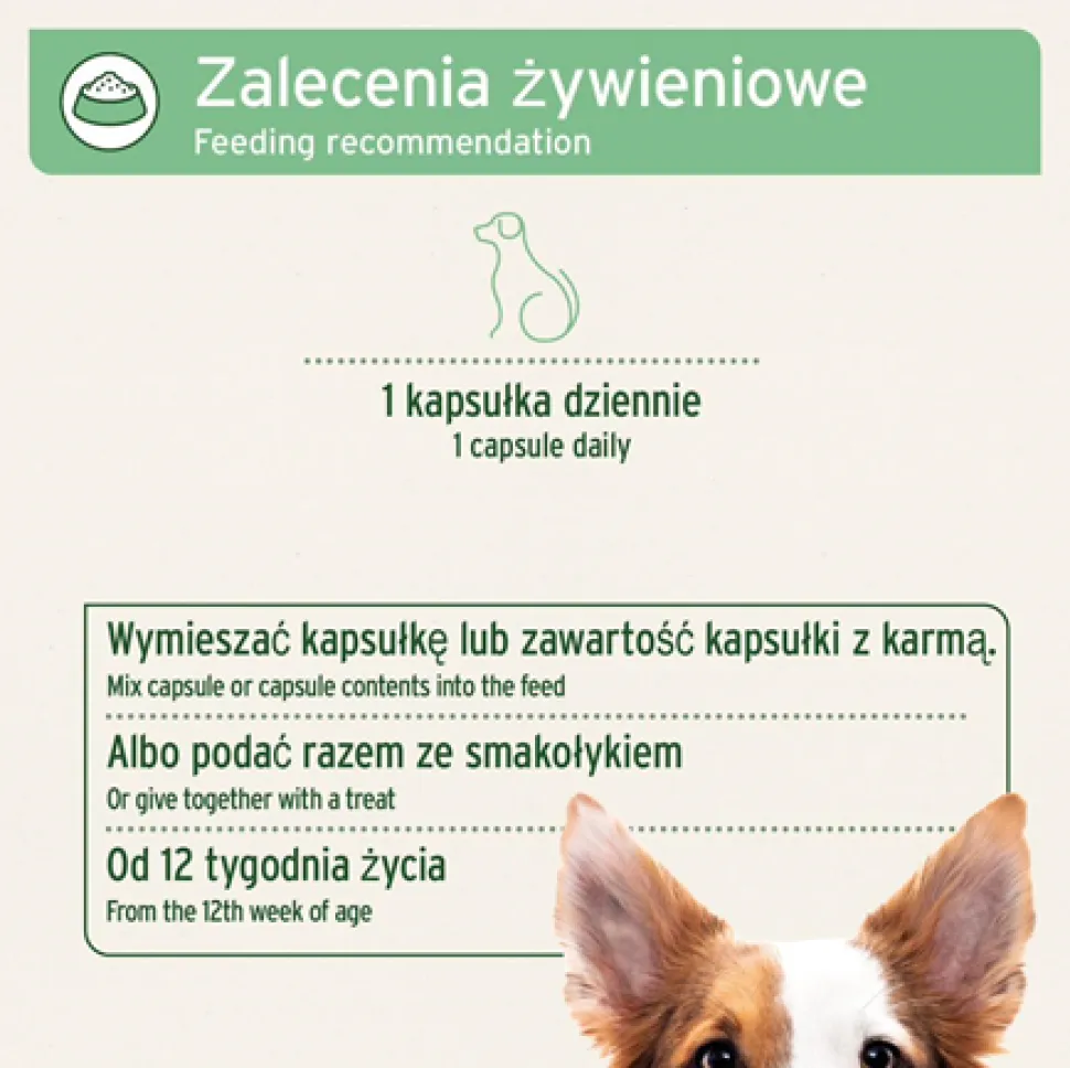 AniForte, Naturalna ochrona przed kleszczami, średnie psy, 60 szt