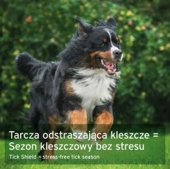AniForte, Naturalna ochrona przed kleszczami, średnie psy, 60 szt