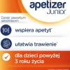 Apetizer Junior, syrop dla dzieci, 100 ml