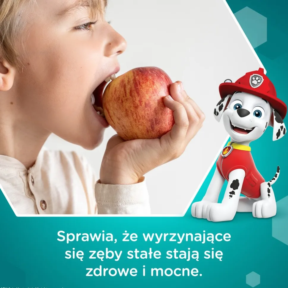 Aquafresh Big Teeth Psi Patrol, pasta do zębów, 6-8 lat, 50 ml