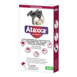 Ataxxa 1250 mg + 250 mg, roztwór do nakrapiania dla psów o masie od 10 do 25 kg, 2,5 ml (1 pipeta)