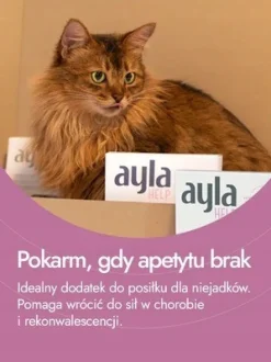 Ayla Help, serca indycze, żywność regeneracyjna dla psa i kota, 2 x 19 g