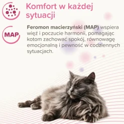 Beaphar CatComfort Calming Spot-On dla kotów, 3 x 0,55 ml