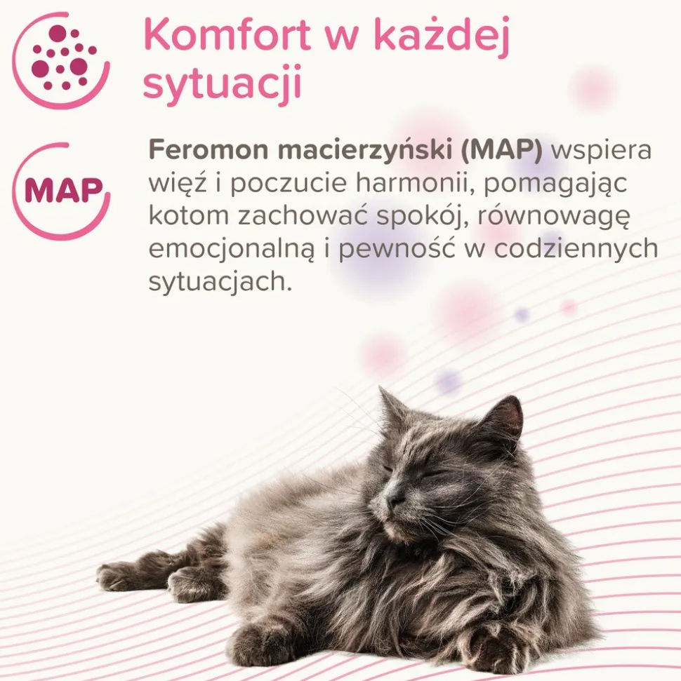 Beaphar CatComfort Calming Spot-On dla kotów, 3 x 0,55 ml