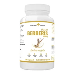 Berberis Extract 400 mg, kapsułki, 120 szt.