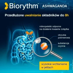 Biorythm, Ashwagandha, kapsułki, 30 szt.