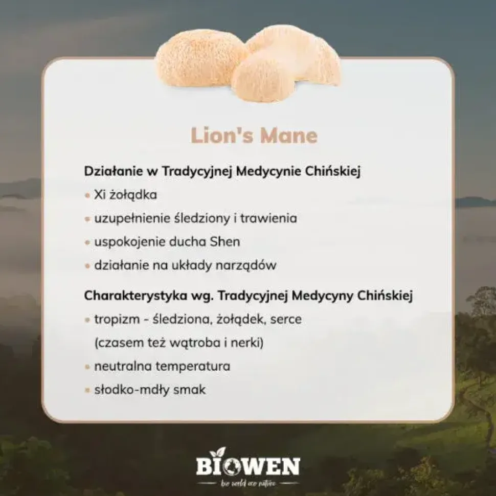 Biowen, Lion's mane, kapsułki, 90 szt.