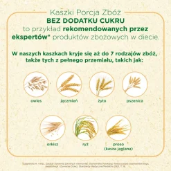 BoboVita Porcja Zbóż, kaszka mleczna 3 zboża, jabłko-gruszka, 6 m+, 210 g