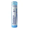 Boiron Phytolacca decandra, 9 CH, granulki, 4 g