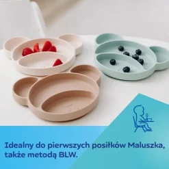 Canpol Babies, silikonowy trójdzielny talerzyk z przyssawką, Miś, zielony, 1 szt.