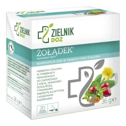 DOZ Zielnik Żołądek, herbatka ziołowa, saszetki, 1,8 g x 20 szt.