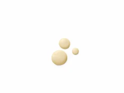 Dr. Hauschka Revitalising Day Lotion, emulsja rewitalizująca na dzień, 50 ml