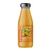 EkaMedica, Smoothie Mango Ananas Rokitnik, 250 ml