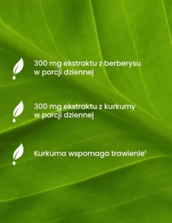 Essensey Berberyna + Kurkumina, kapsułki, 90 szt.