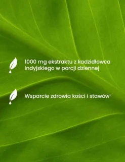 Essensey Boswellia Serrata, kapsułki, 90 szt.