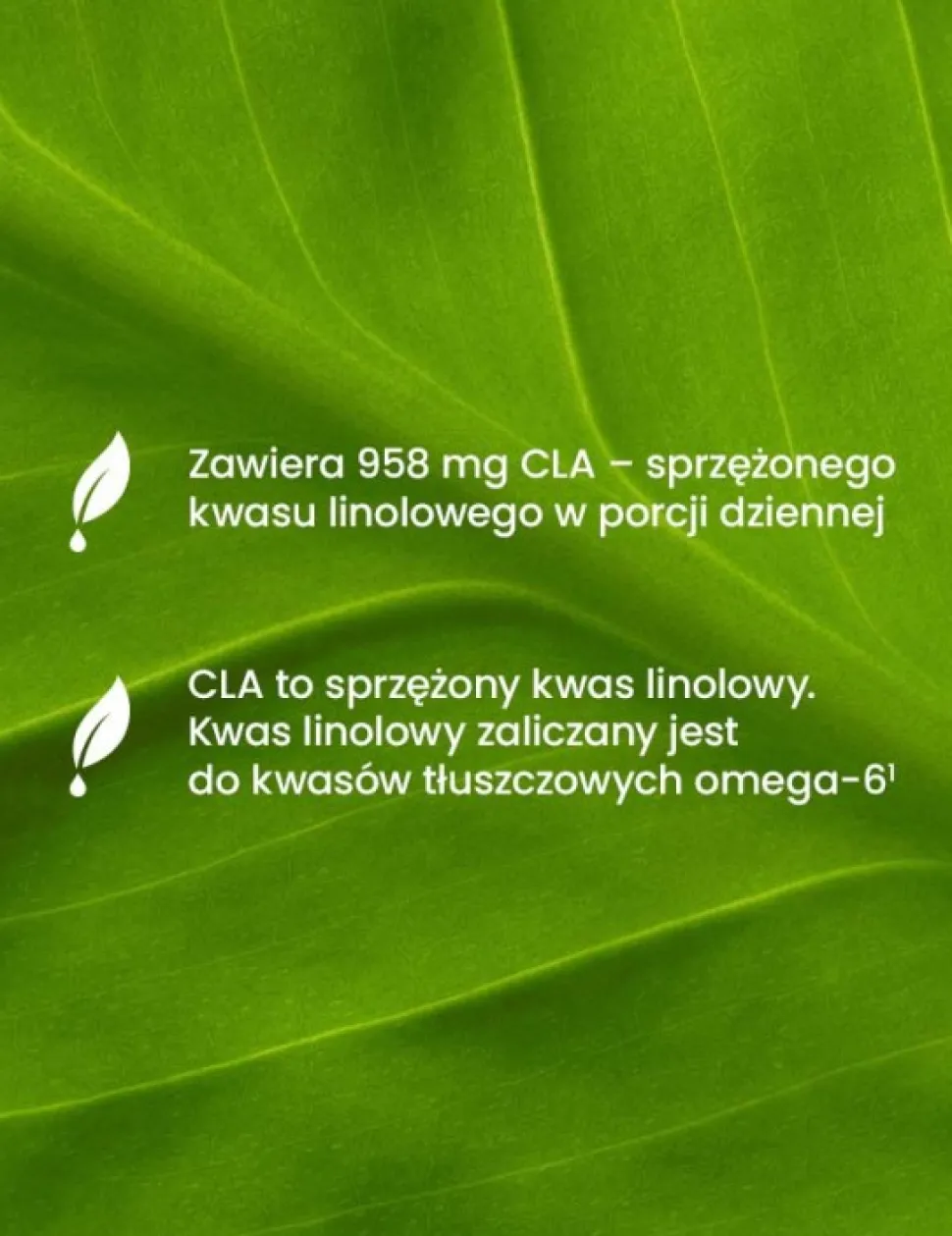 Essensey CLA, kapsułki, 90 szt.