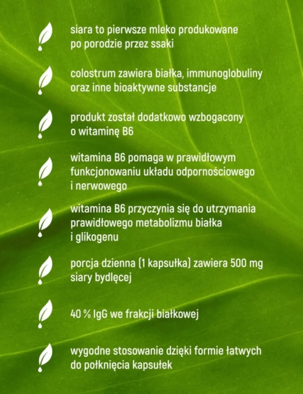 Essensey Colostrum Bydlęce, kapsułki, 90 szt.