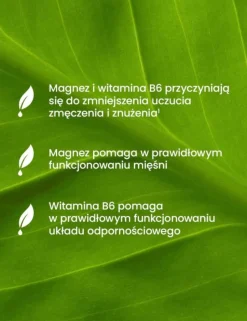 Essensey Cytrynian Magnezu Forte, kapsułki, 90 szt.