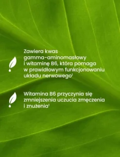 Essensey Gaba Extra Formuła, kapsułki, 90 szt.