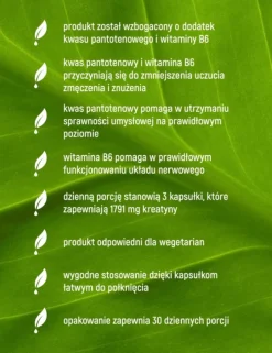 Essensey Kreatyna Monohydrat + B5, B6, kapsułki, 90 szt.
