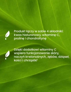 Essensey Kwas Hialuronowy+, kapsułki, 90 szt.