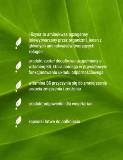 Essensey L-Lizyna, kapsułki, 90 szt.
