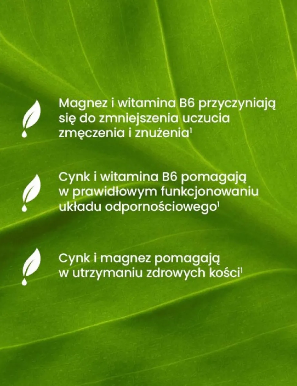 Essensey Magnez + Cynk + B6, kapsułki, 120 szt.