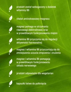 Essensey Magnez Ultra Glicynian + B6, kapsułki, 90 szt.