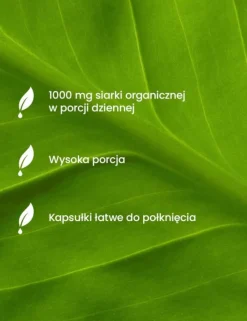 Essensey MSM siarka organiczna 1000 mg, kapsułki, 90 szt.