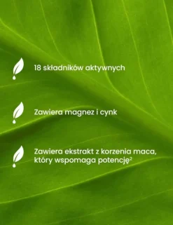 Essensey Multivit Dla Niego + Korzeń Maca, kapsułki, 90 szt.