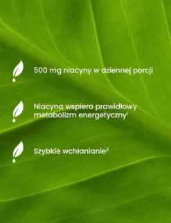 Essensey Niacyna Forte, kapsułki., 120 szt.