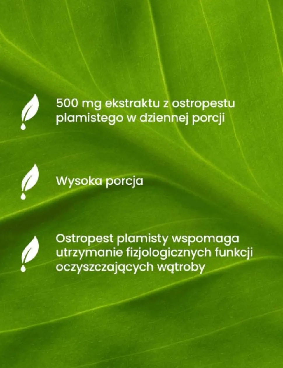Essensey Ostropest plamisty, Wsparcie wątroby, kapsułki, 90 szt.