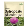 Flos, owoc ostropestu plamistego, 100 g