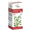 Intractum Visci Phytopharm, płyn doustny, 100 ml