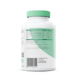 Osavi Chaga 1000 mg, kapsułki, 120 szt.