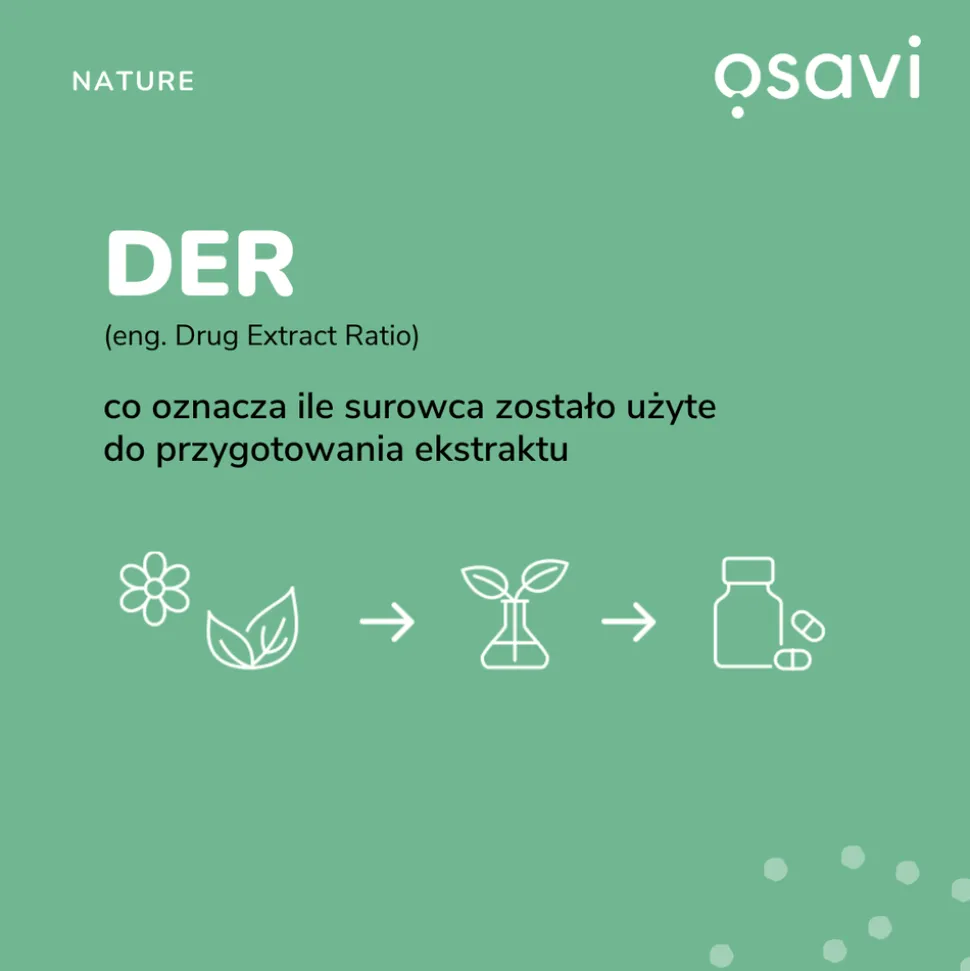 Osavi Inulina z korzenia cykorii, proszek, 270 g