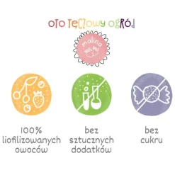 Otolandia Oto Tęczowy Ogród, liofilizowana malina, proszek, 40 g