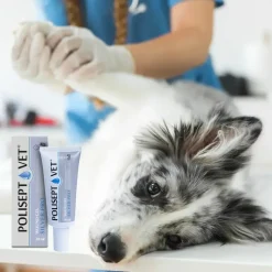 Polisept Vet Wound Gel Silver Pro, żelowy opatrunek dla psa i kota, 30 ml