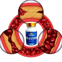 Proherbis Cholesterol Forte, kapsułki, 60 szt.