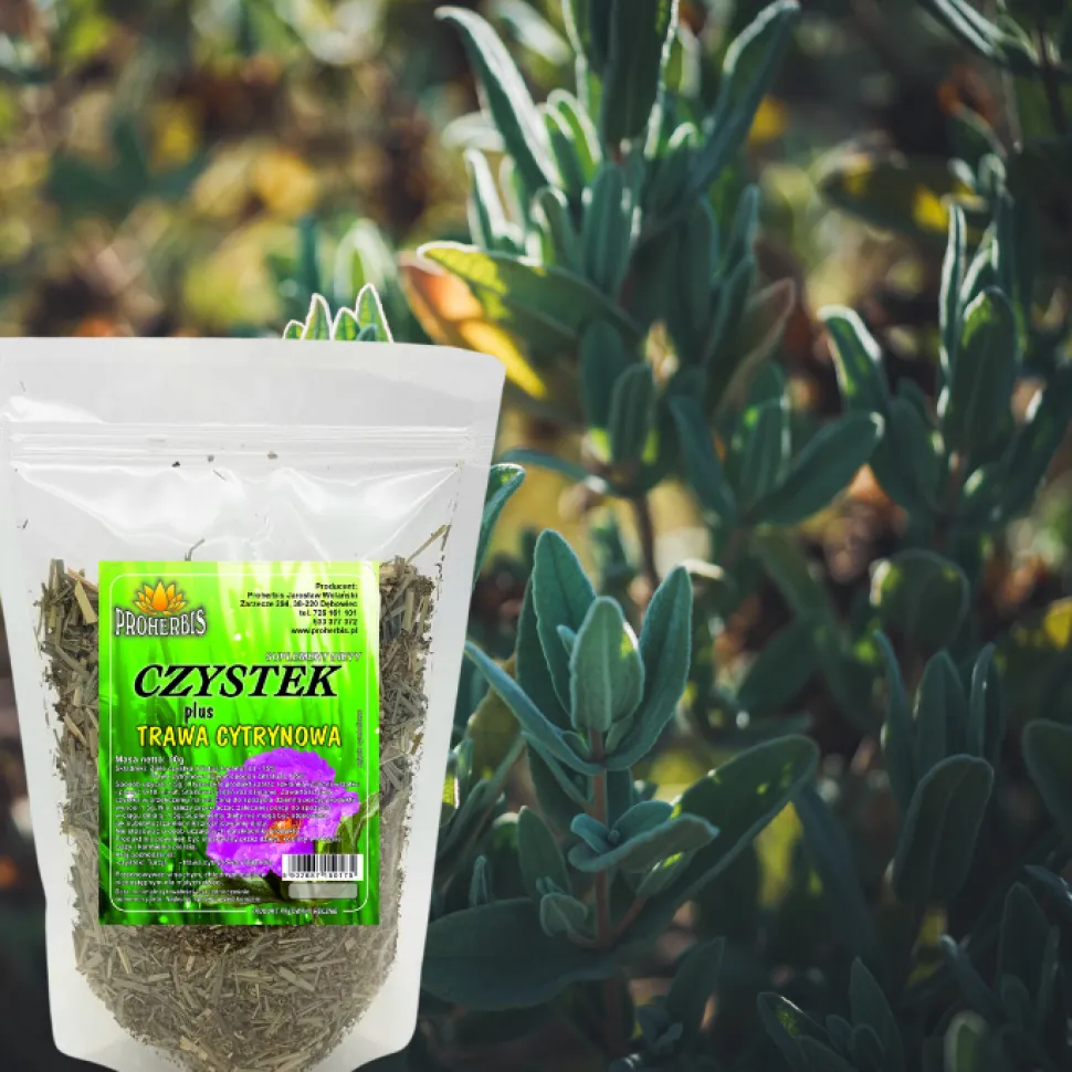 Proherbis Czystek plus trawa cytrynowa, herbata, susz, 50 g