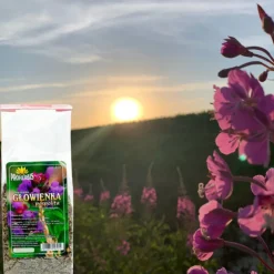 Proherbis Herbatka Głowienka pospolita, ziele cięte, 50 g