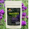 Proherbis Traganek, proszek, 50 g