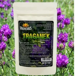 Proherbis Traganek, proszek, 50 g
