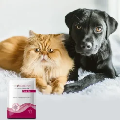 Vet Protector Gastro-Biotyk Forte, multibiotyk dla psa i kota, saszetka z proszkiem, 3 g, 1 szt.