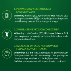 Vigor Up! Energia, tabletki, 60 szt.