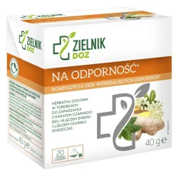 ZIELNIK DOZ Herbatka na odporność, 2 g x 20 szt.